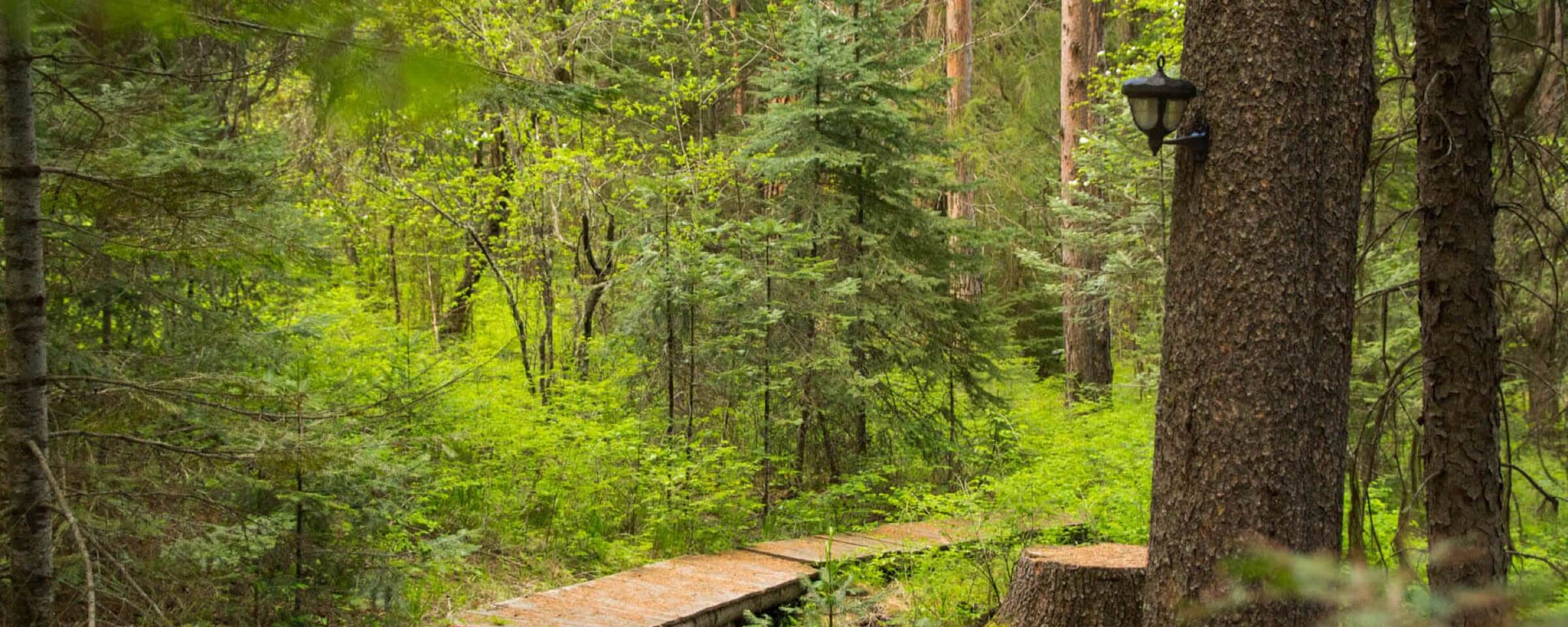 Getting Here — Minam River Lodge